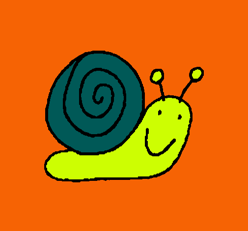 Caracol 4