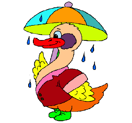 Pato bajo la lluvia