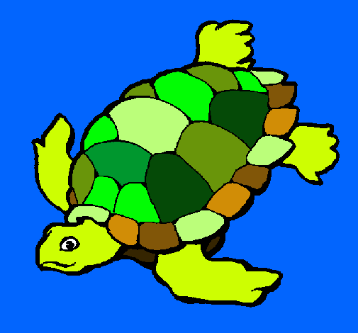 Tortuga