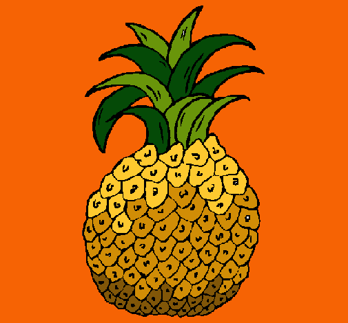 piña