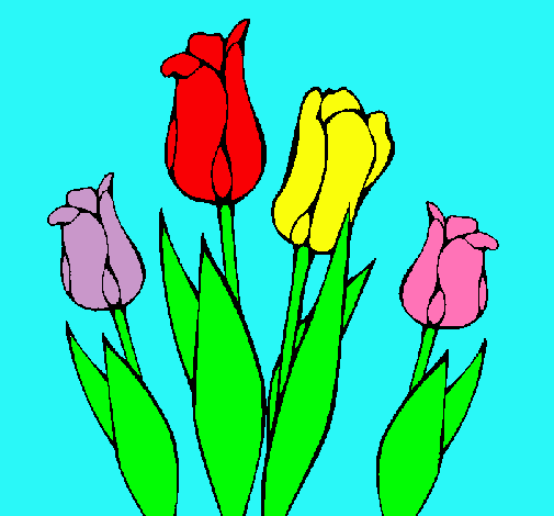 Tulipanes