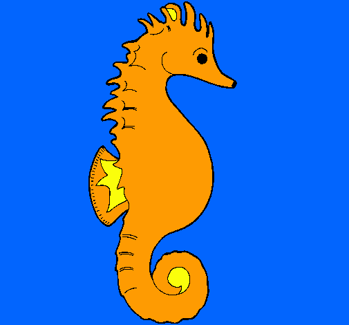 Caballito de mar