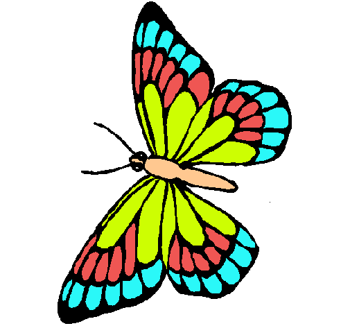 Mariposa