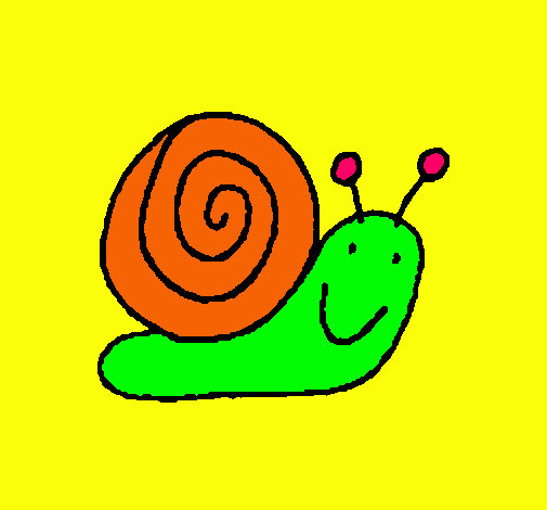 Caracol 4