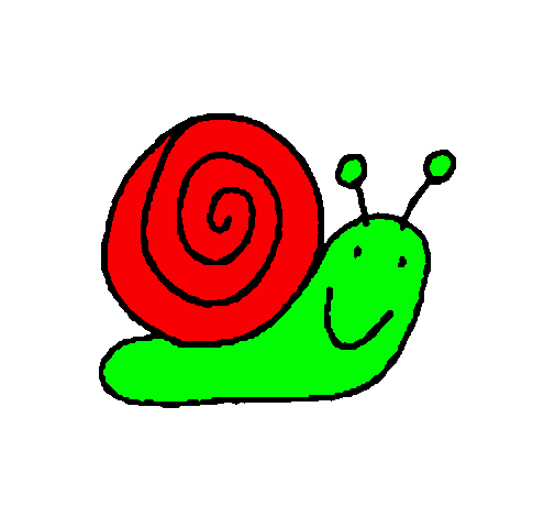 Caracol 4