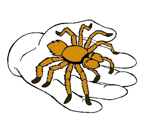 Tarántula