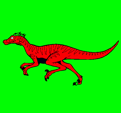 Velociraptor