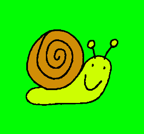 Caracol 4