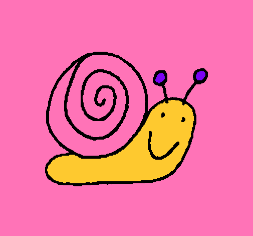 Caracol 4