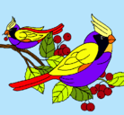 Dibujo Pájaros pintado por xdivinex