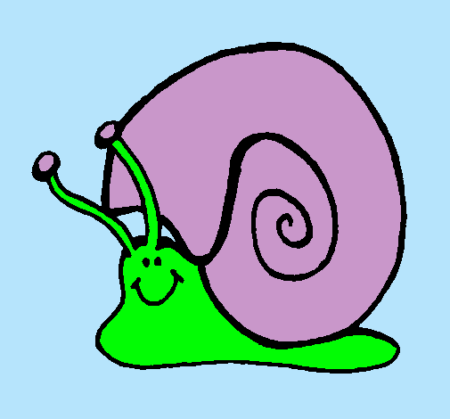 Caracol 