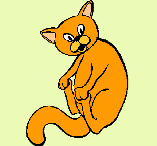 Gatito