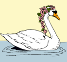 Dibujo Cisne con flores pintado por Alive