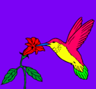 Dibujo Colibrí y una flor pintado por chiara
