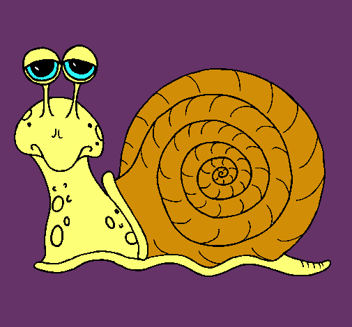 Caracol