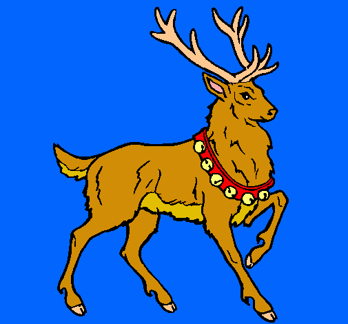 Venado