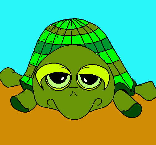 Tortuga