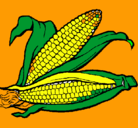 Dibujo Mazorca de maíz pintado por bobobooboobo