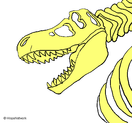 Esqueleto tiranosaurio rex