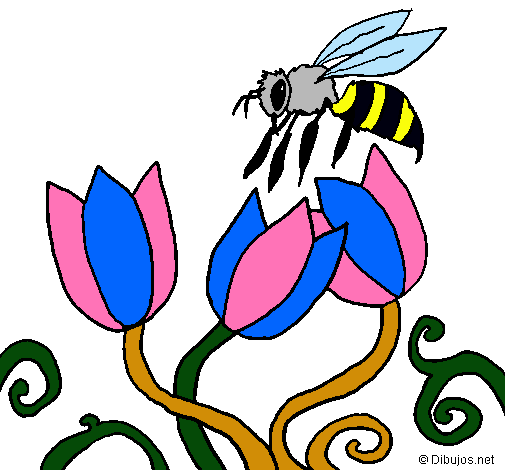 Abeja