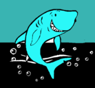 Dibujo Tiburón pintado por pupo