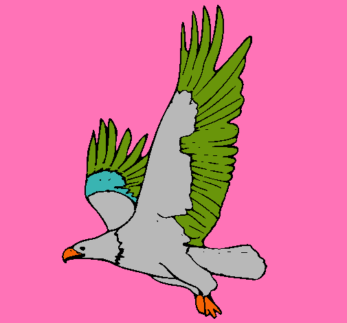 Águila volando