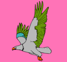 Dibujo Águila volando pintado por najut