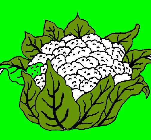 coliflor