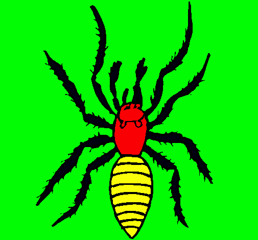 Araña tigre