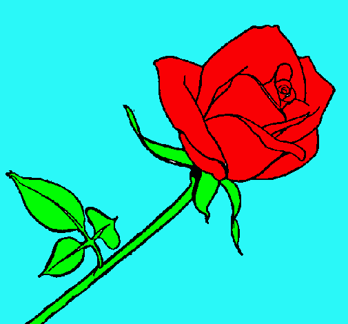 Dibujo Rosa pintado por mluz