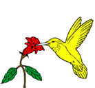 Dibujo Colibrí y una flor pintado por dewel