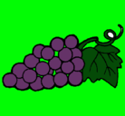 Dibujo racimo pintado por uvas