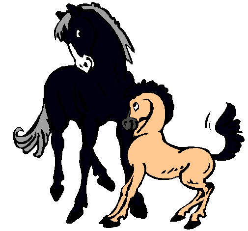 Caballos