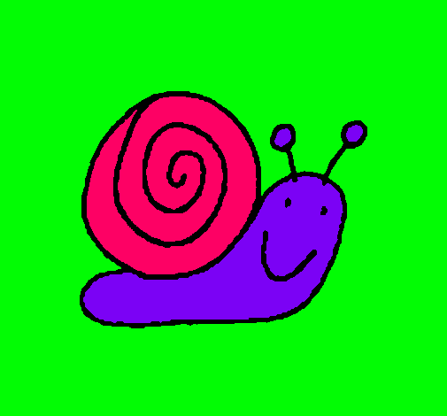 Caracol 4