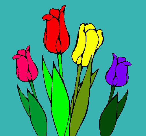 Tulipanes