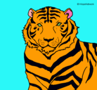 Dibujo Tigre pintado por laurita123