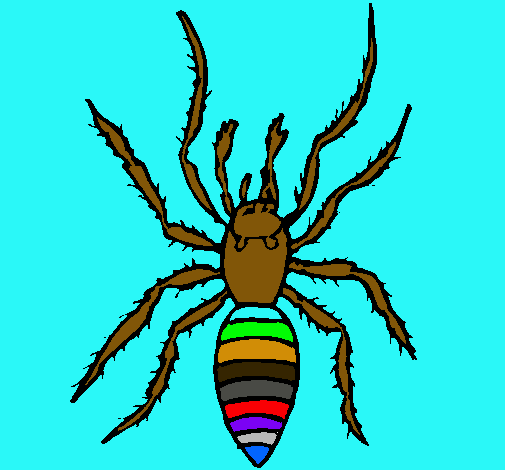 Araña tigre