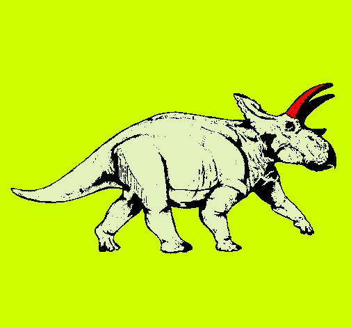 Triceratops