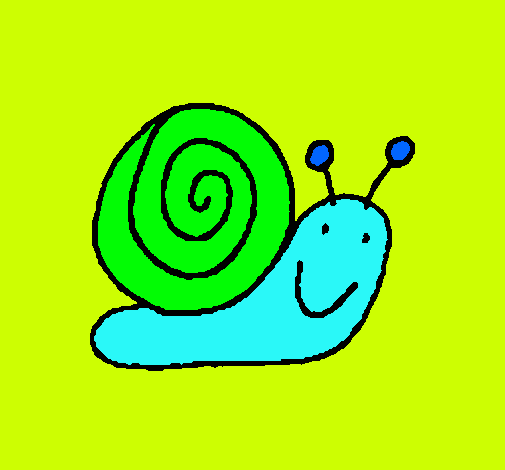 Caracol 4