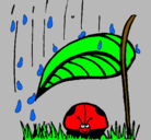Dibujo Mariquita protegida de la lluvia pintado por laprincesa