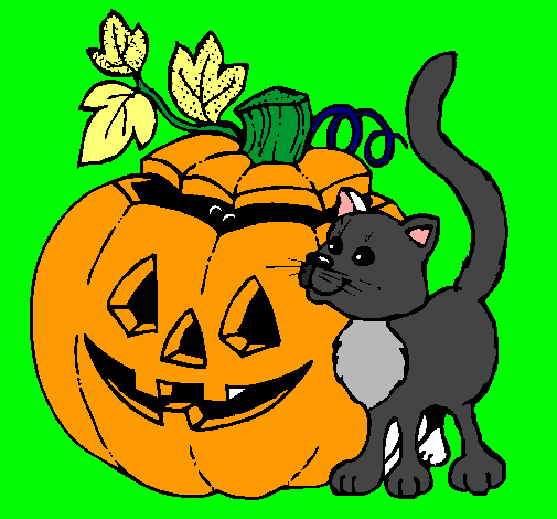 Calabaza y gato