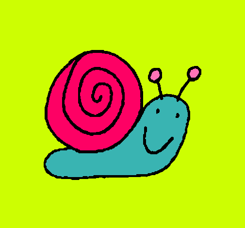 Caracol 4