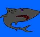Dibujo Tiburón pintado por lexi