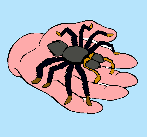 Tarántula