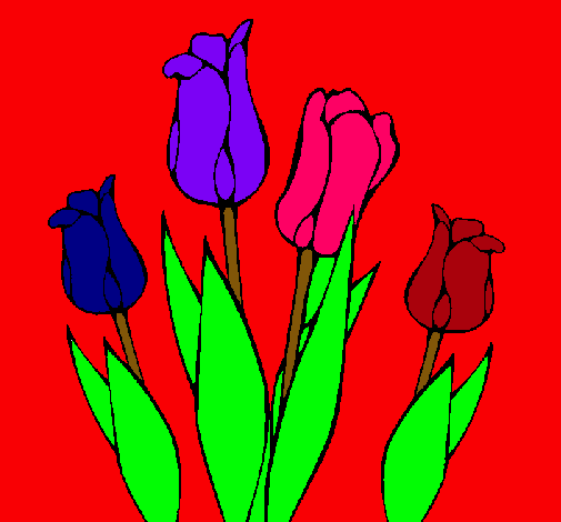 Tulipanes