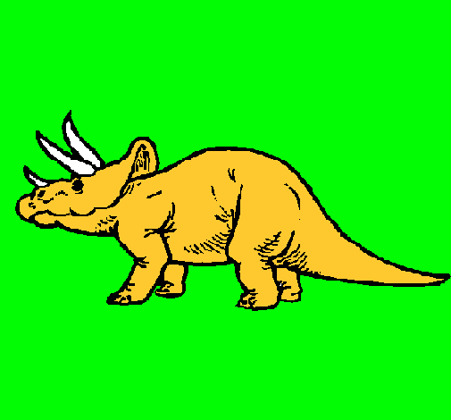 Triceratops