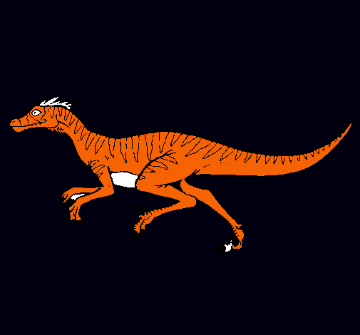 Velociraptor