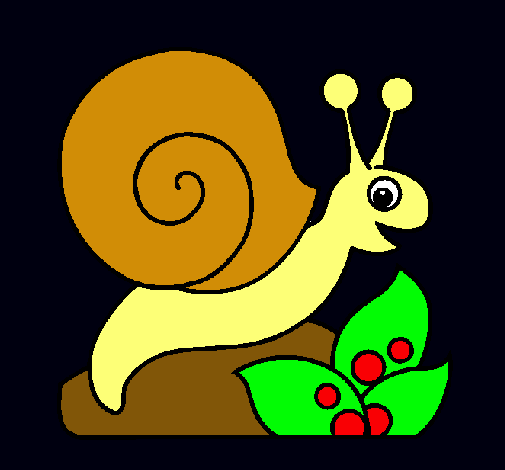 Caracol