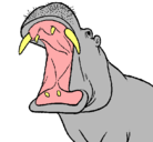 Dibujo Hipopótamo con la boca abierta pintado por mikizaira