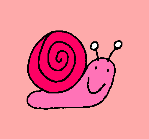 Caracol 4